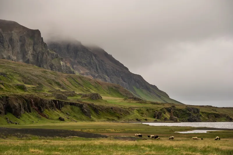 Towards Þerribjörg, Iceland. 2018.